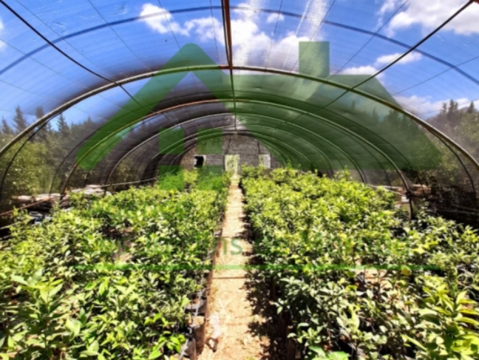 Terrain commercial ou agricole Tunisie Affaires